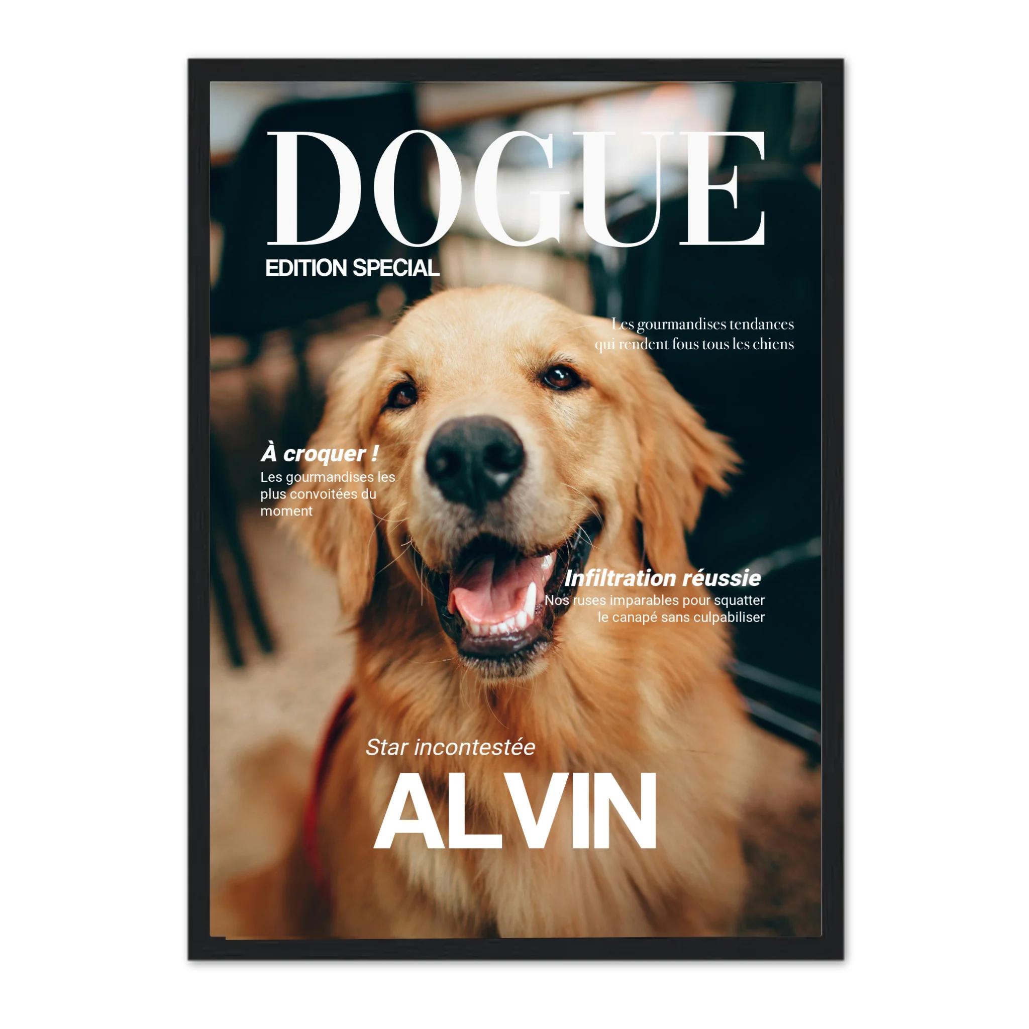 DOGUE - Affiche chien personnalisée Cadre Vertical / Noir / Ed. Limité : 75x100 cm Jetaimeparis France