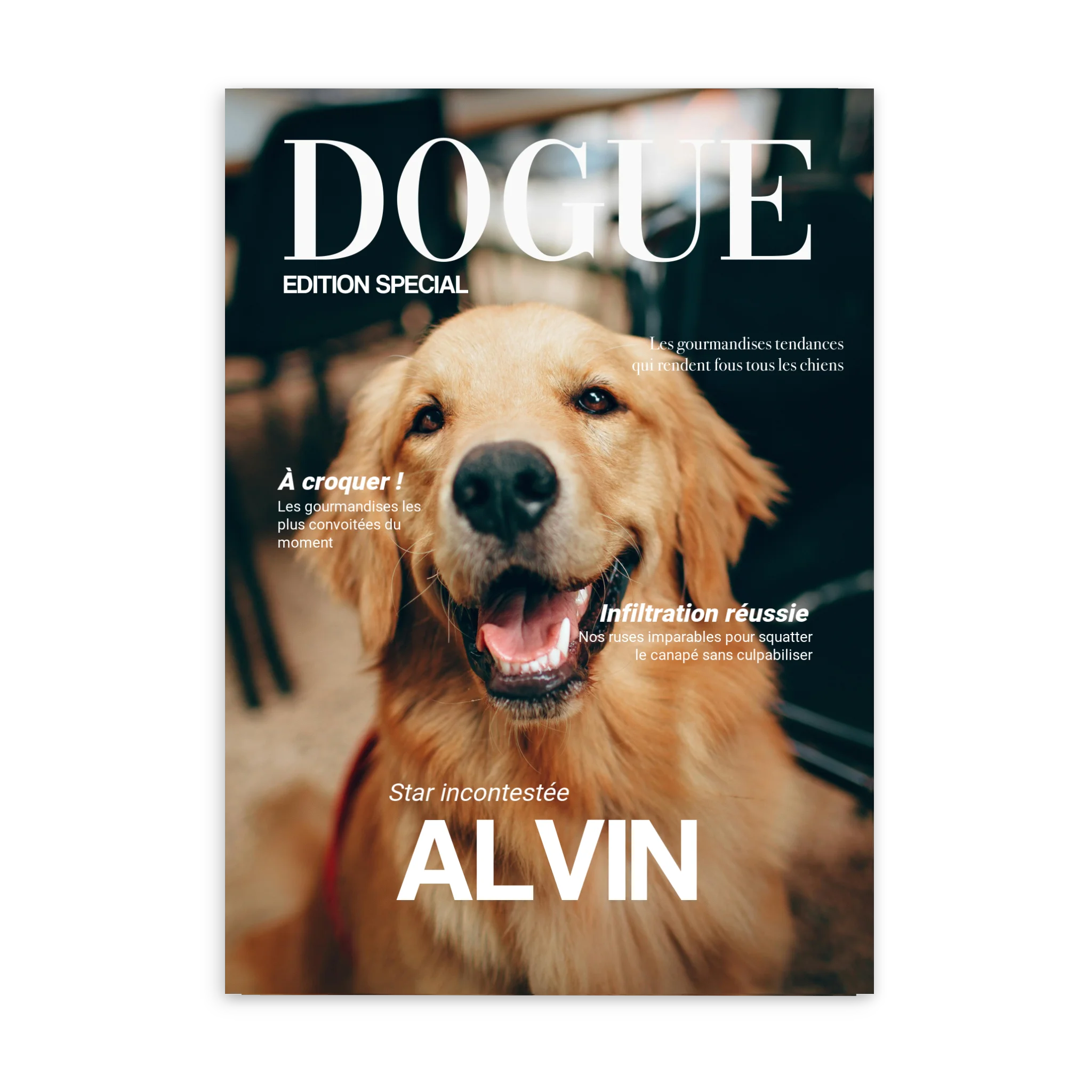 DOGUE - Affiche chien personnalisée Cadre Vertical / Poster sans cadre / 50x70 cm Jetaimeparis France