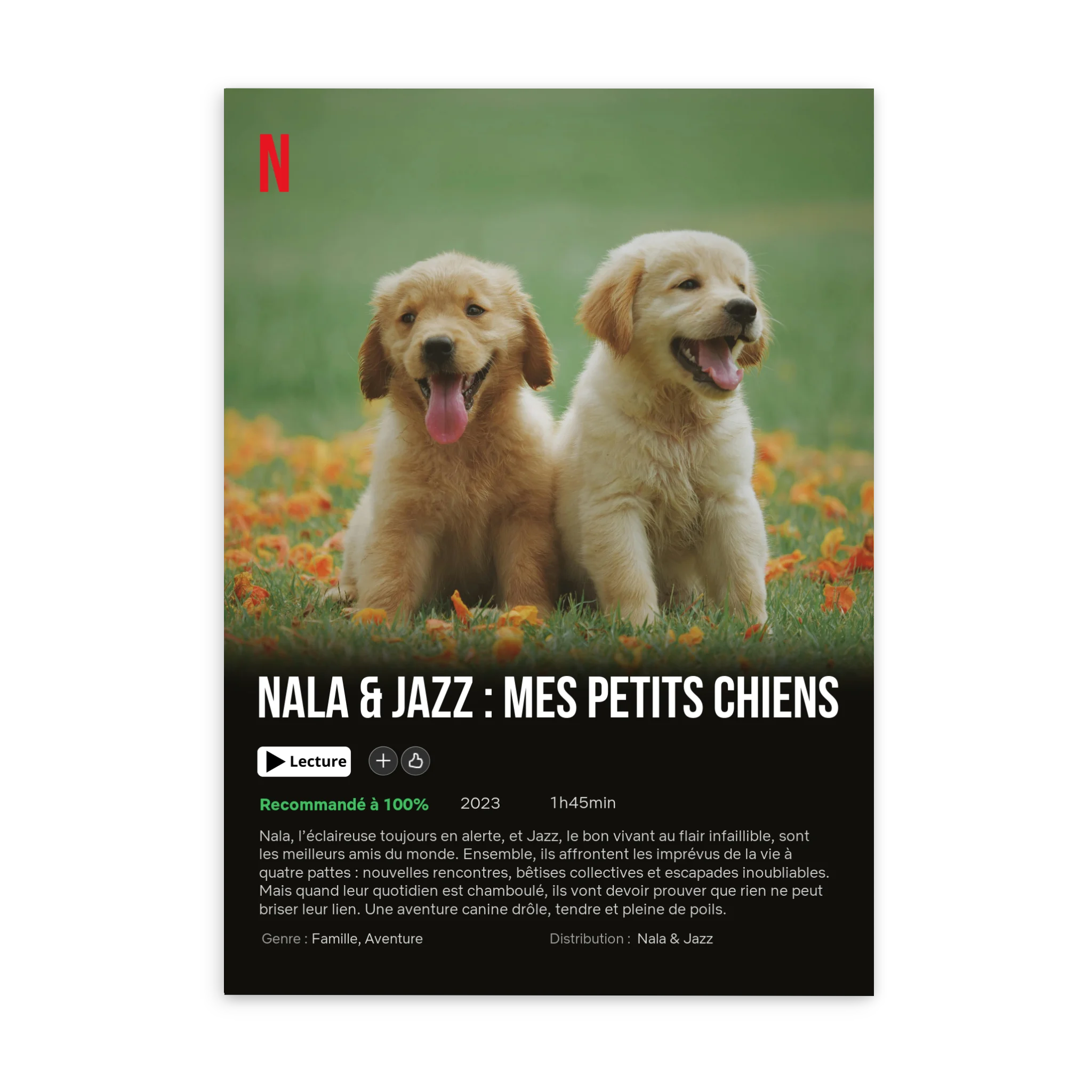 Mon Chien - Affiche de Film - Affiche personnalisée Cadre Vertical / Poster sans cadre / 50x70 cm Jetaimeparis France