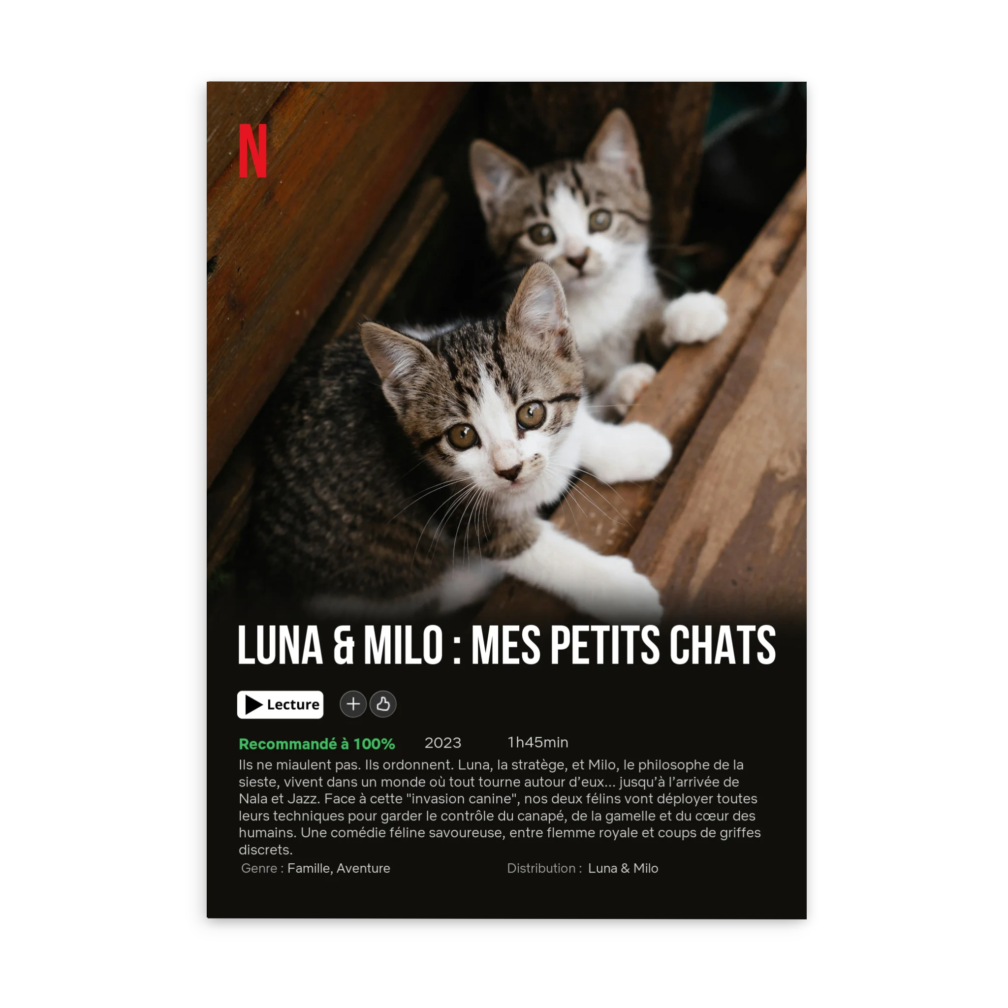 Mon chat - Affiche de Film - Affiche personnalisée Jetaimeparis France