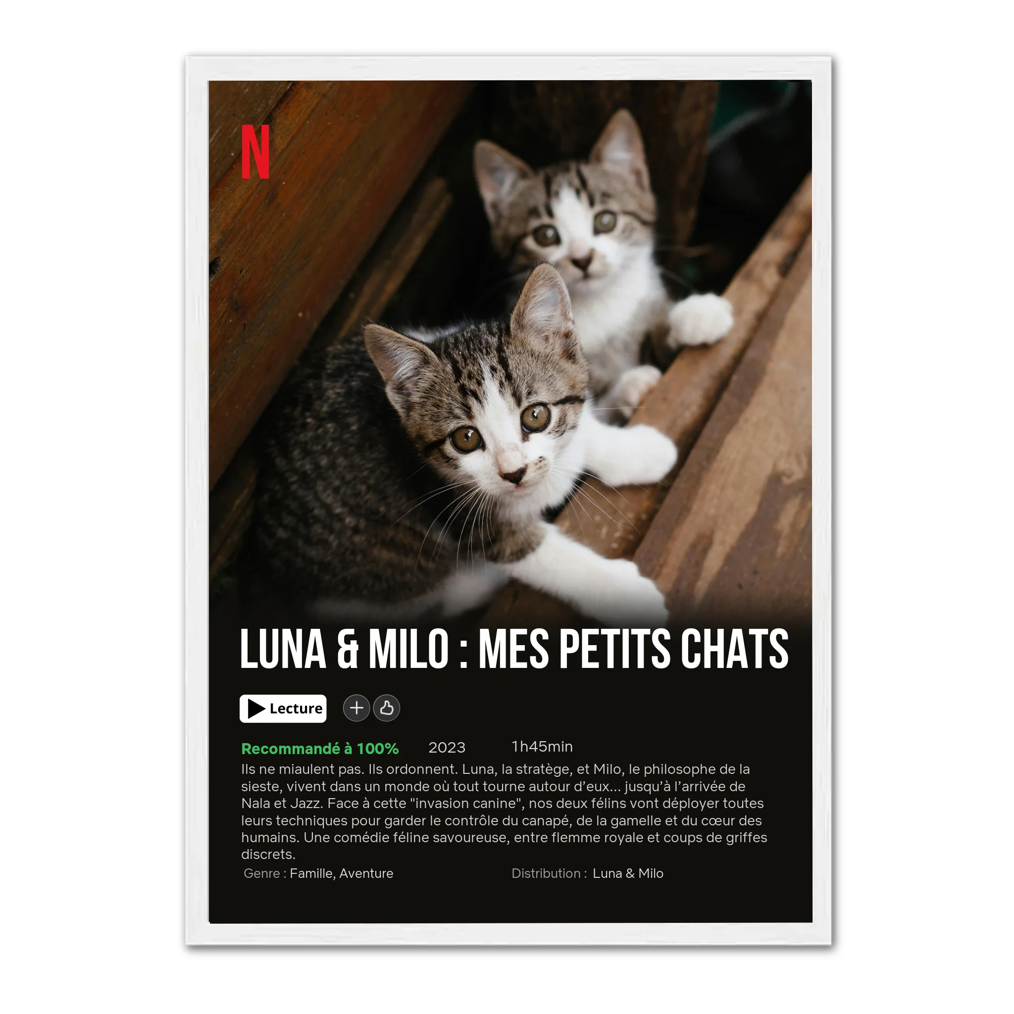 Mon chat - Affiche de Film - Affiche personnalisée Jetaimeparis France