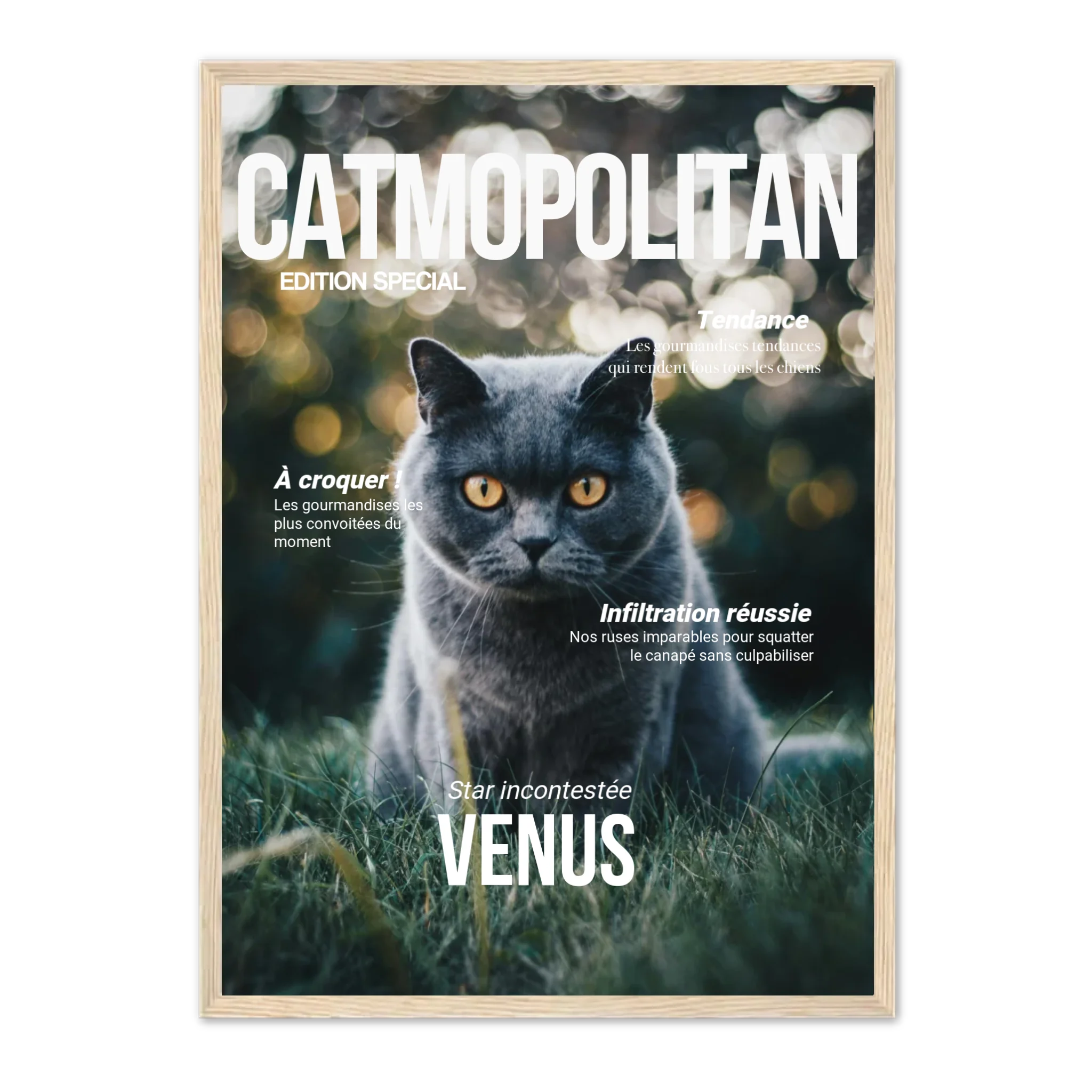 CATMOPOLITAN - Affiche chat personnalisée Jetaimeparis France