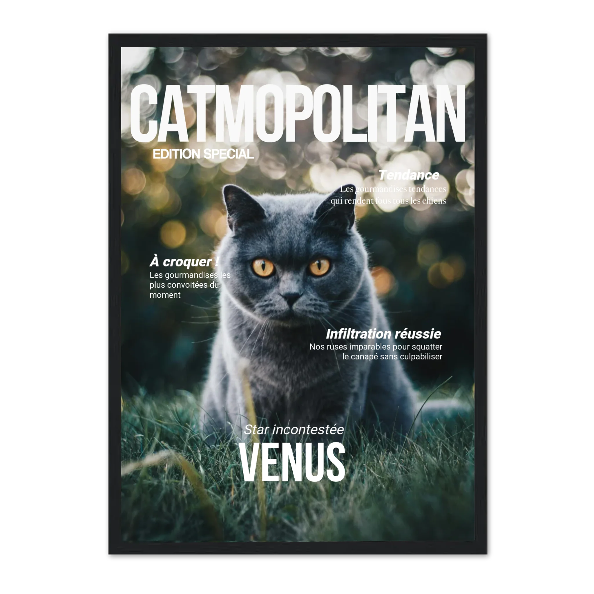 CATMOPOLITAN - Affiche chat personnalisée