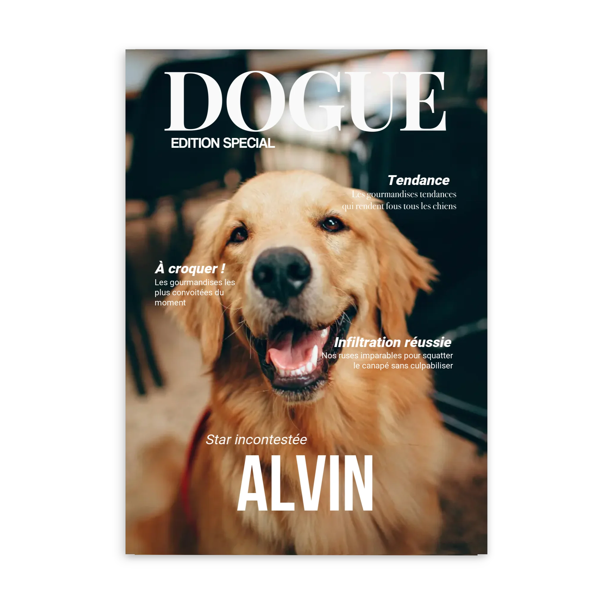 DOGUE - Affiche chien personnalisée