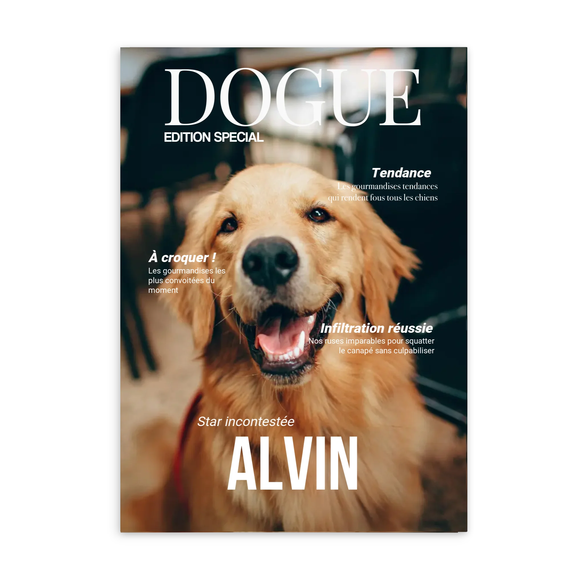 DOGUE - Affiche chien personnalisée