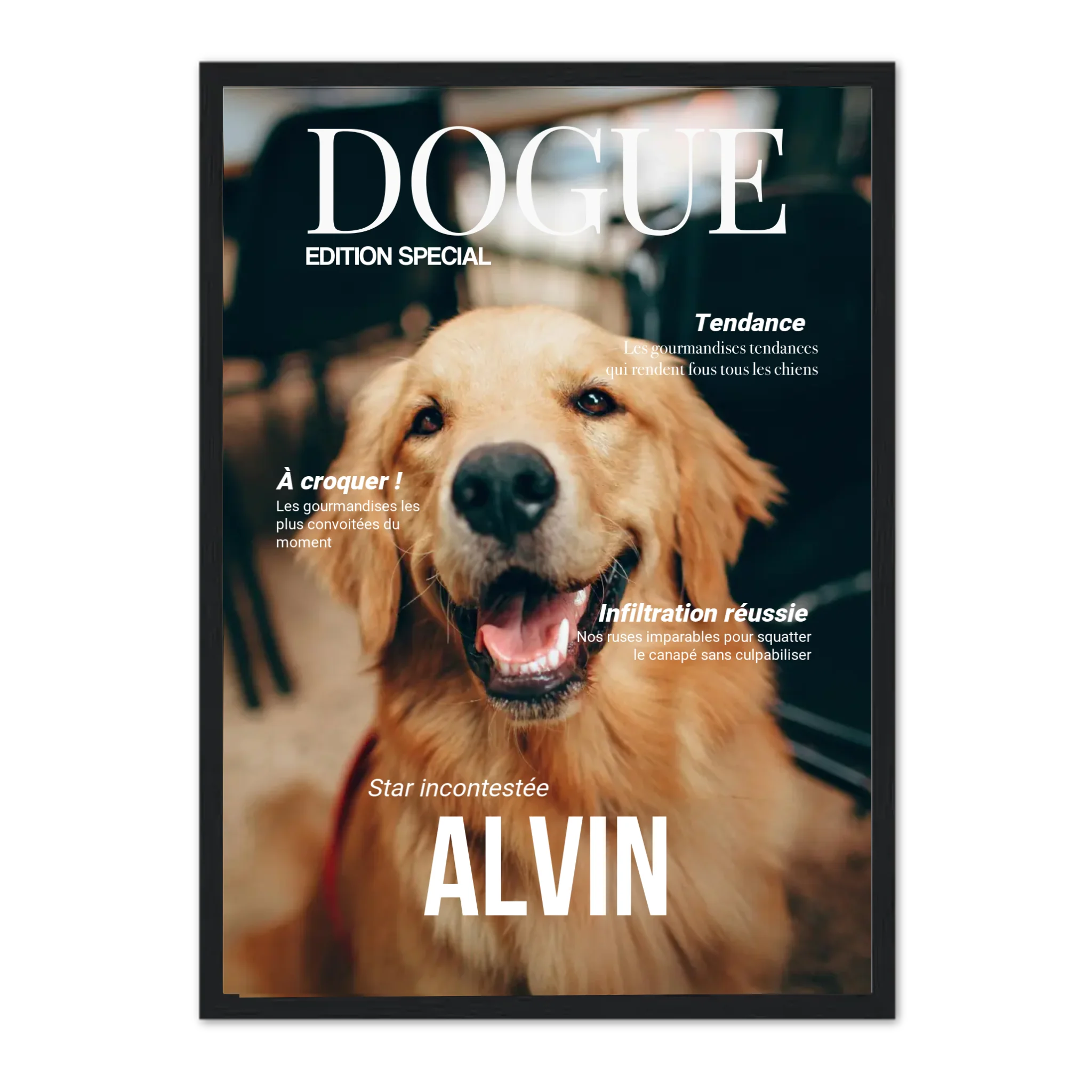 DOGUE - Affiche chien personnalisée
