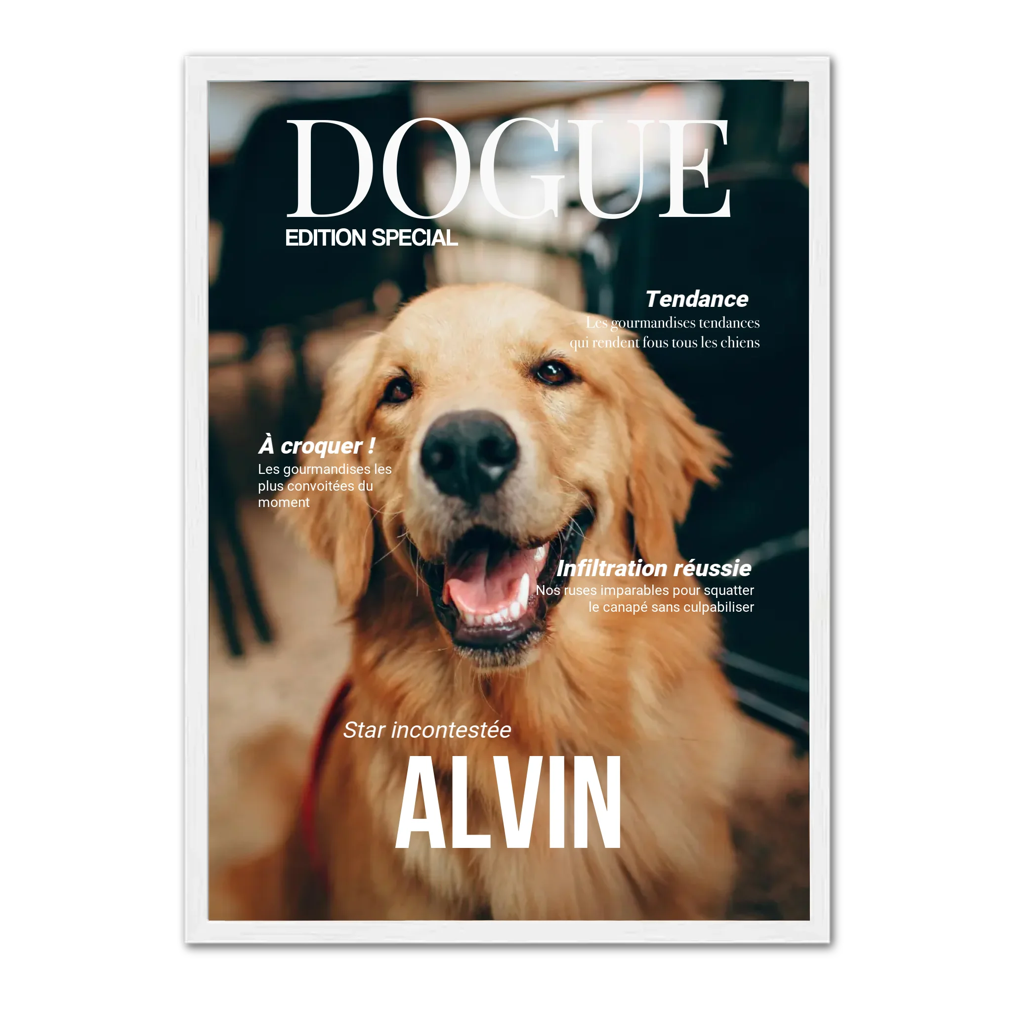 DOGUE - Affiche chien personnalisée