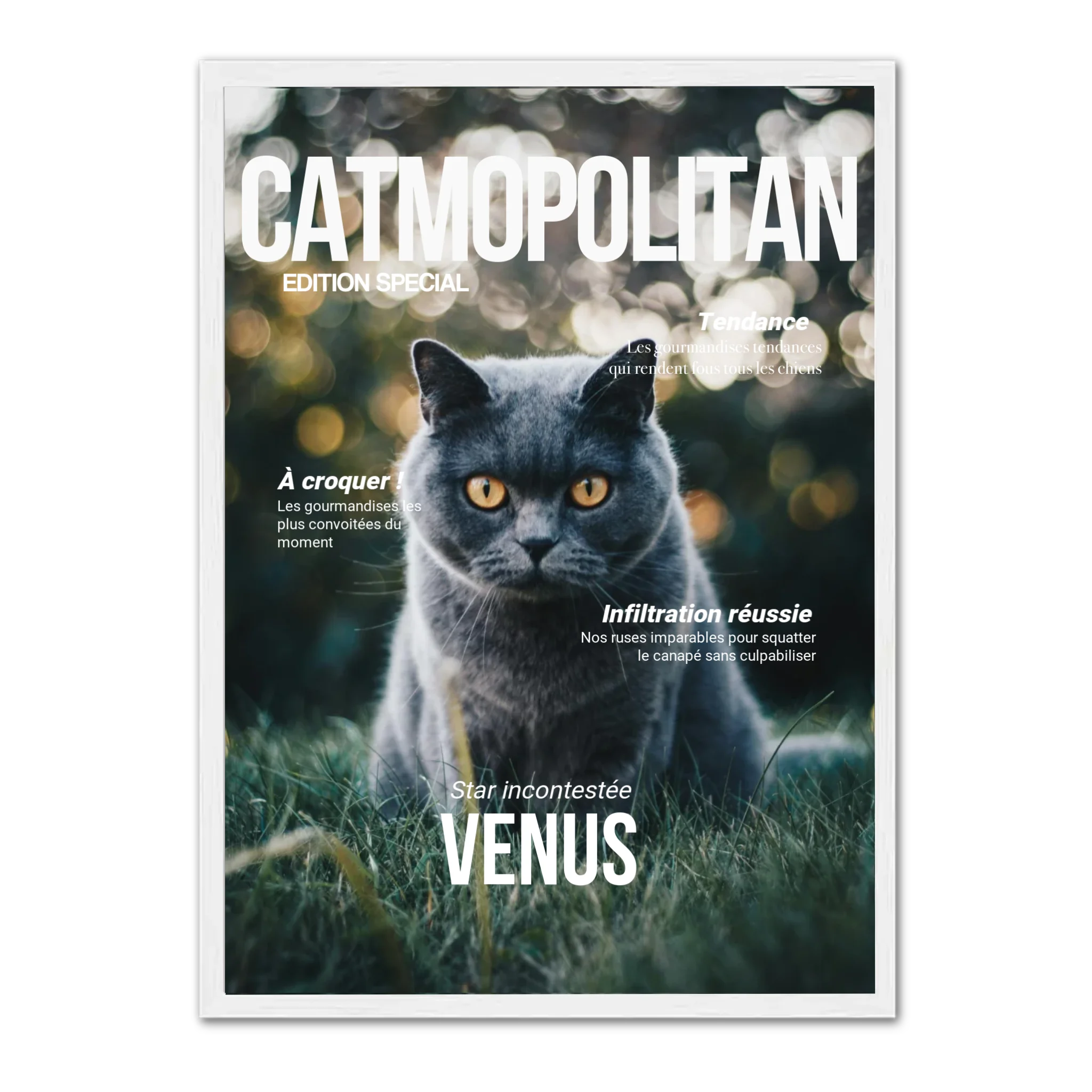 CATMOPOLITAN - Affiche chat personnalisée