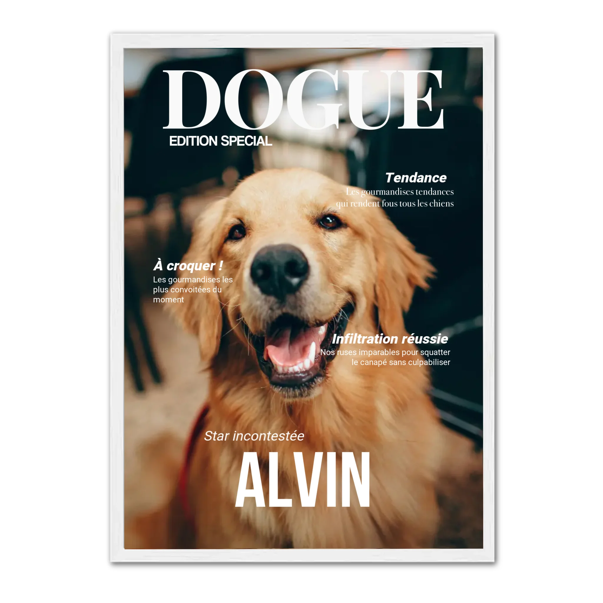 DOGUE - Affiche chien personnalisée  Jetaimeparis France